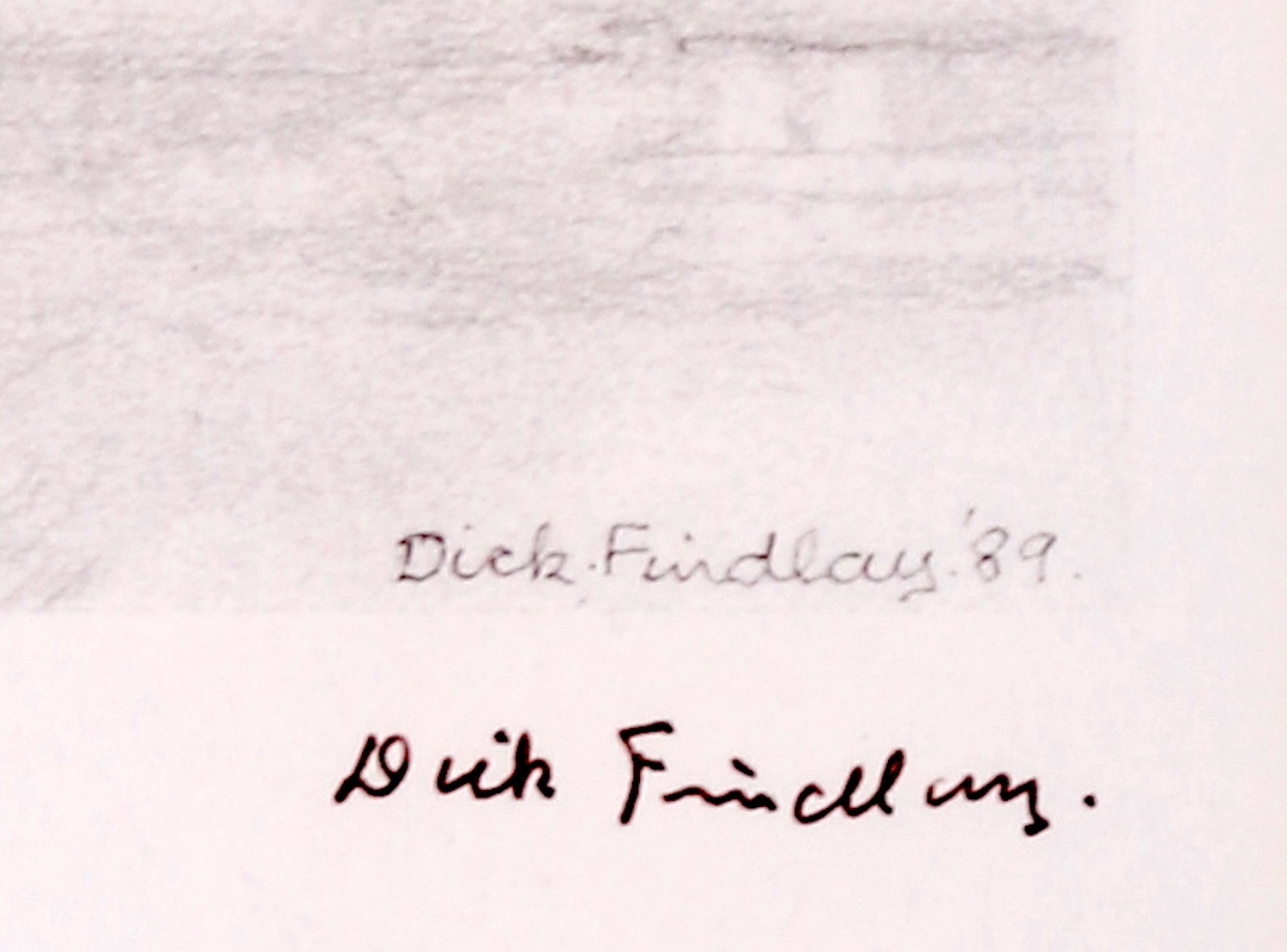 Artwork by Dick Findlay, WATER BIRDS (DUCKS, Made of Photolithographs