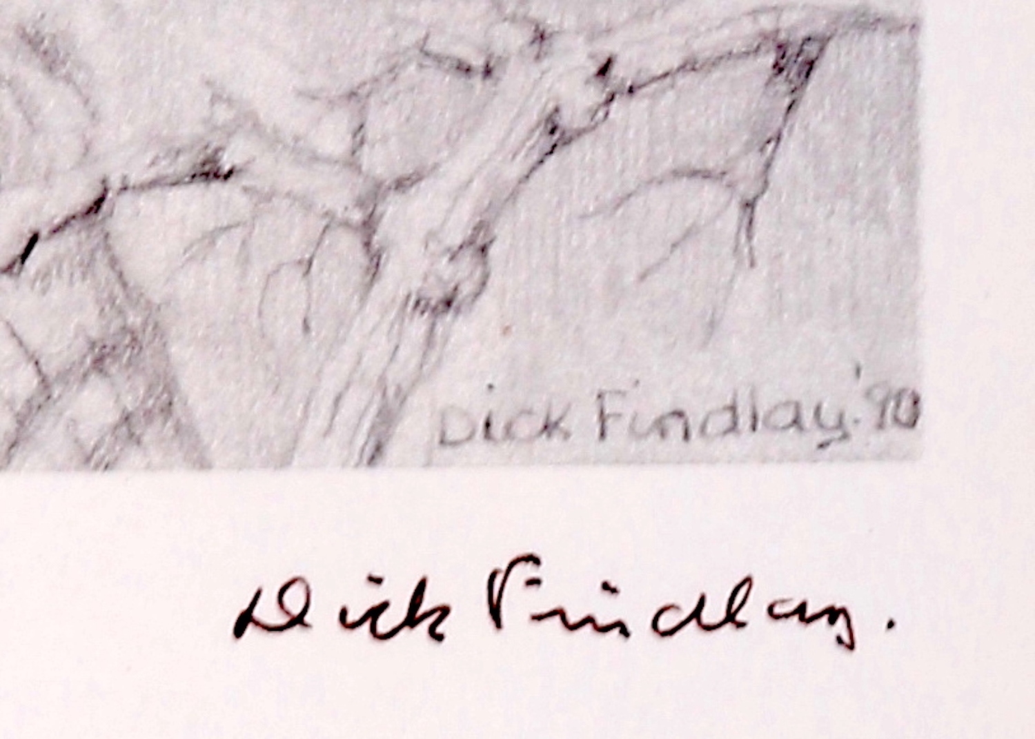 Artwork by Dick Findlay, WATER BIRDS (DUCKS, Made of Photolithographs