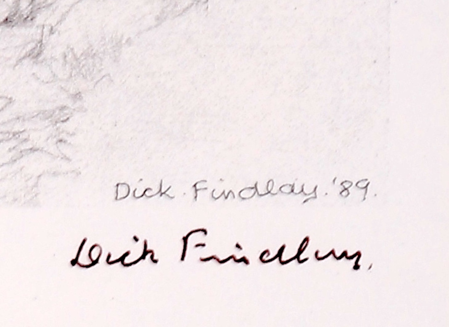 Artwork by Dick Findlay, WATER BIRDS (DUCKS, Made of Photolithographs