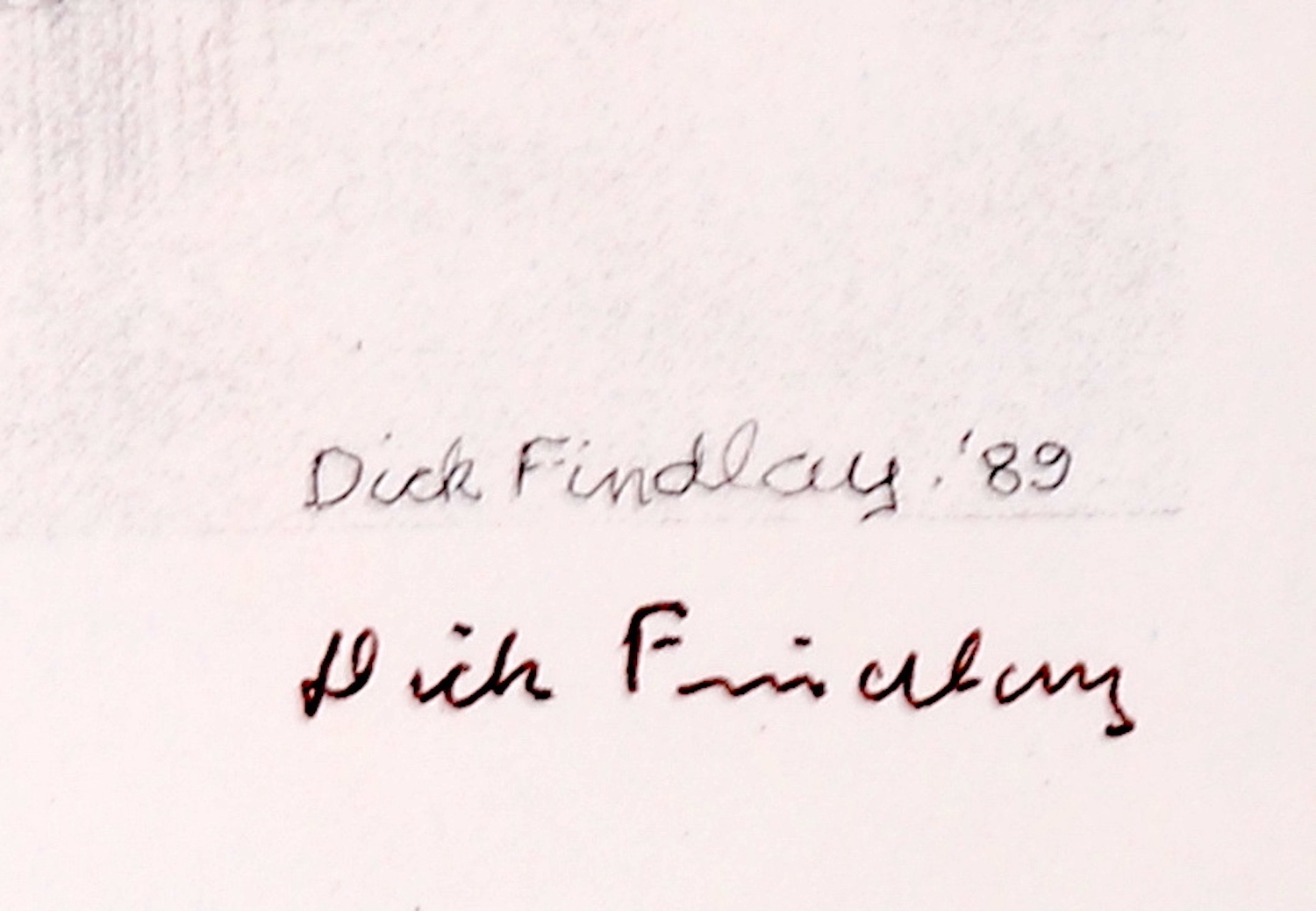 Artwork by Dick Findlay, WATER BIRDS (DUCKS, Made of Photolithographs