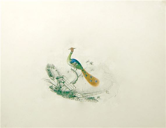 A watercolor painting of a peacock standing on a rock.