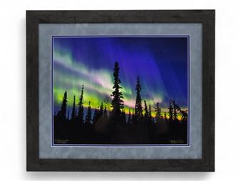 August 2025 Cards & Collectibles Auction - Alaska Premier Auctions & Appraisals