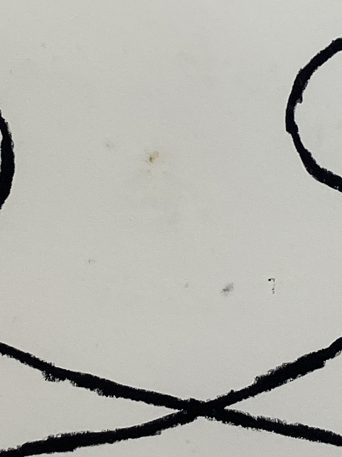 Artwork by Nobuhiko Nukata, untitled, Made of oil-stick on paper