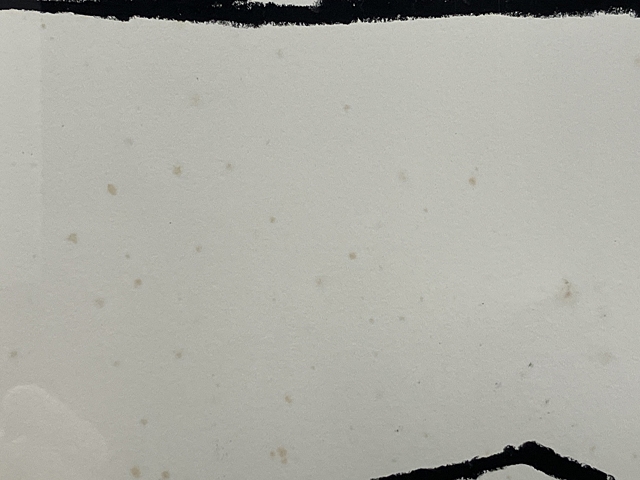 Artwork by Nobuhiko Nukata, untitled, Made of oil-stick on paper