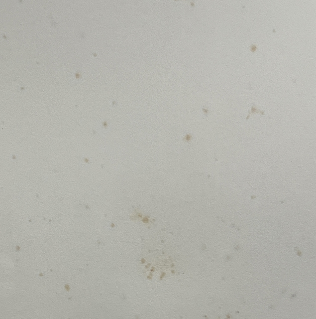 Artwork by Nobuhiko Nukata, untitled, Made of oil-stick on paper