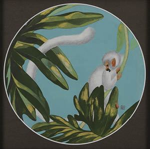 White monkey - Ishii Suzu