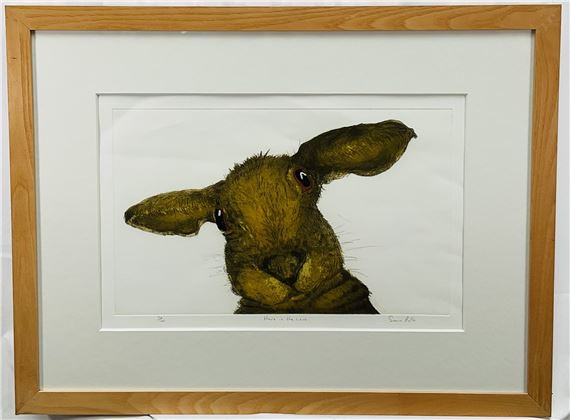 Sonia Rollo | Hare in the Lens | MutualArt