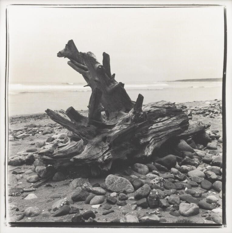 Artwork by Giorgio Zanardi, Group of Eight Beach Scenes, Made of Gelatin Silver Prints