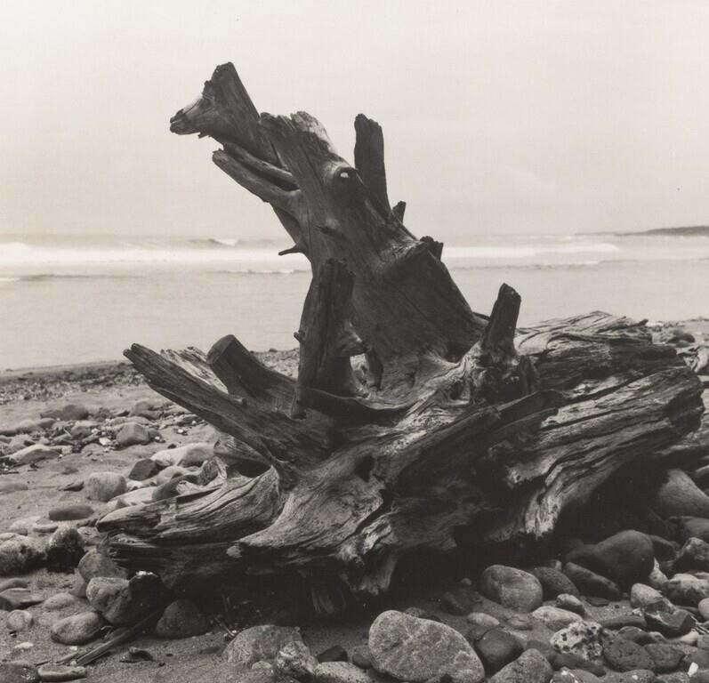 Artwork by Giorgio Zanardi, Group of Eight Beach Scenes, Made of Gelatin Silver Prints