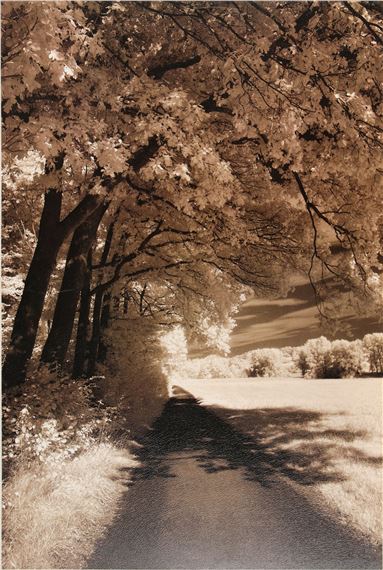 THE PATH AHEAD - Ily Szilagyi