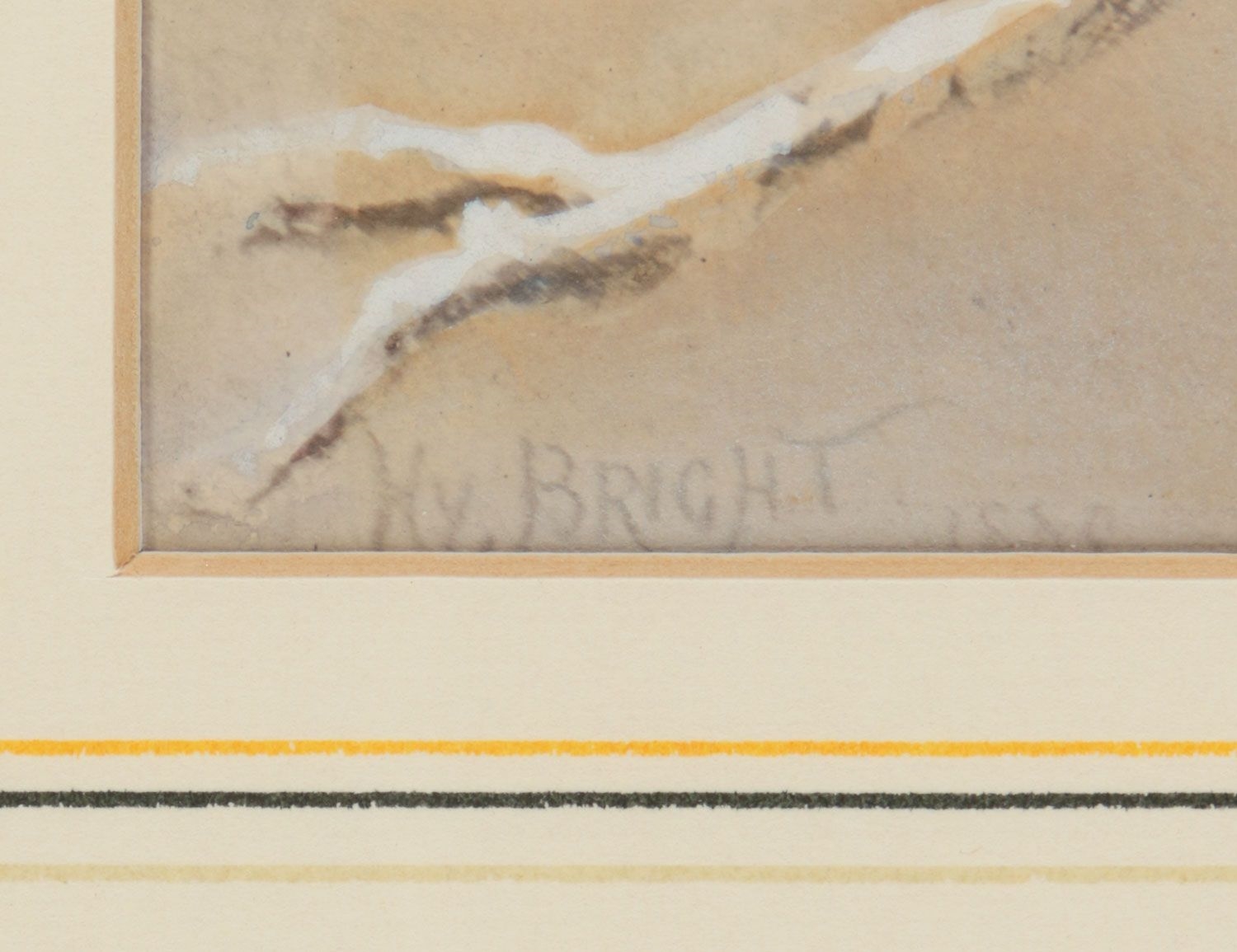 Artwork by Harry Bright, BIRD STUDY, Made of Watercolour Drawing