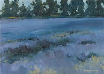 FIELD OF LAVENDER - Sandra Maze