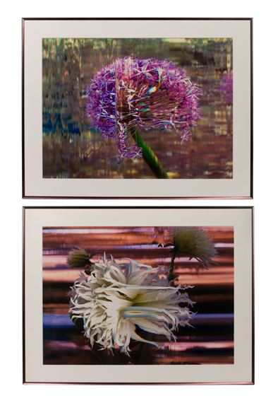 Dahlia Tsuki Yore No Shisha, 2010 - Bruce Checefsky