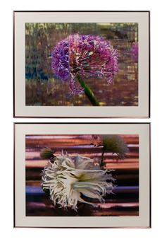 Dahlia Tsuki Yore No Shisha, 2010 - Bruce Checefsky