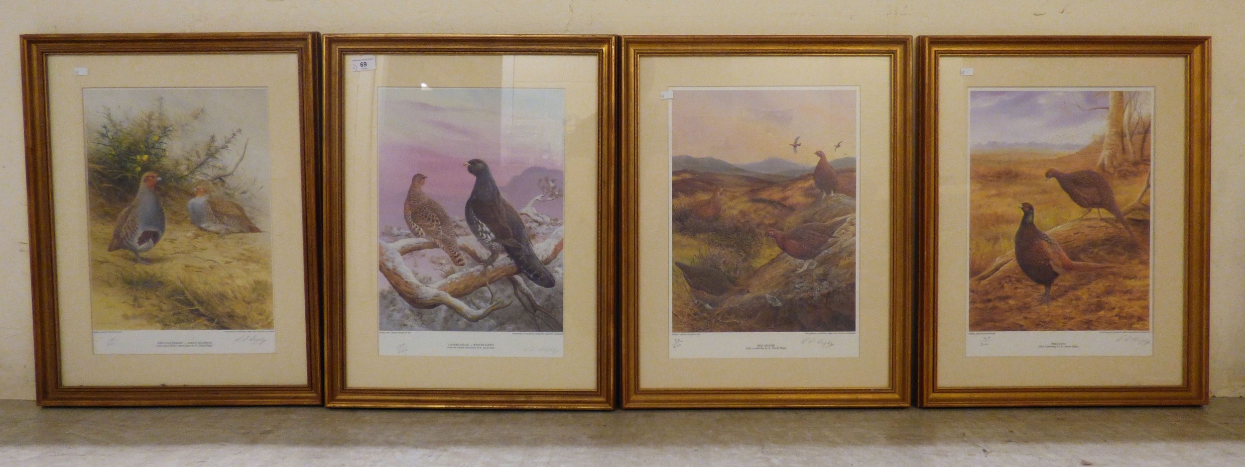 R. David Digby | a series of four ornithological studies | MutualArt
