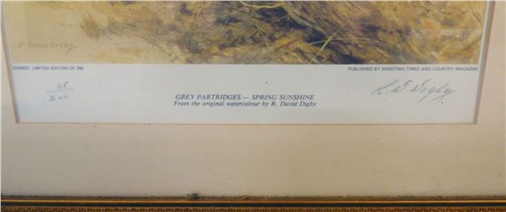 R. David Digby | a series of four ornithological studies | MutualArt