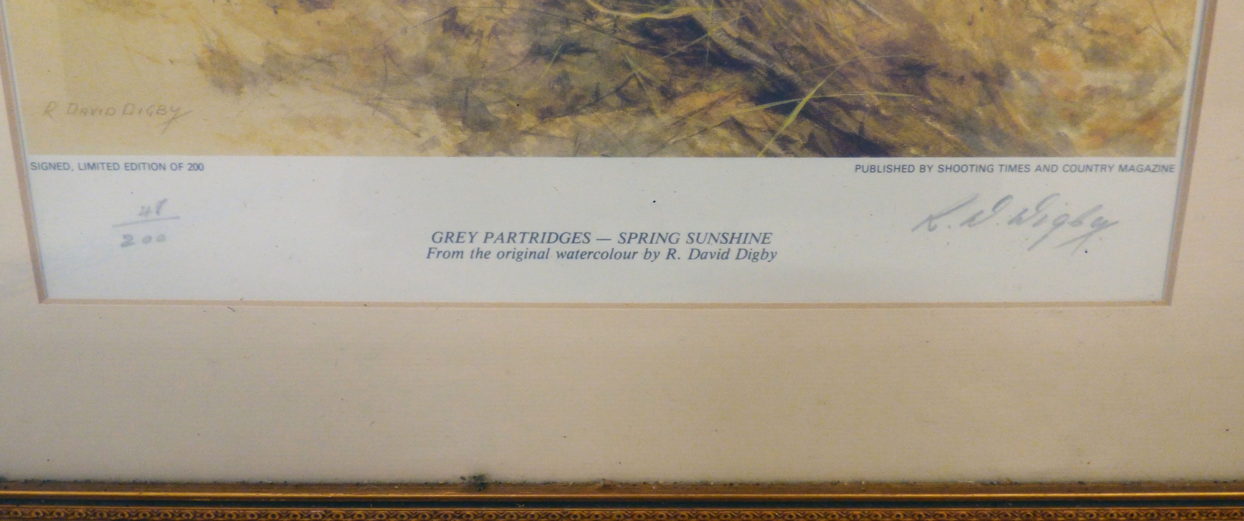 R. David Digby | a series of four ornithological studies | MutualArt