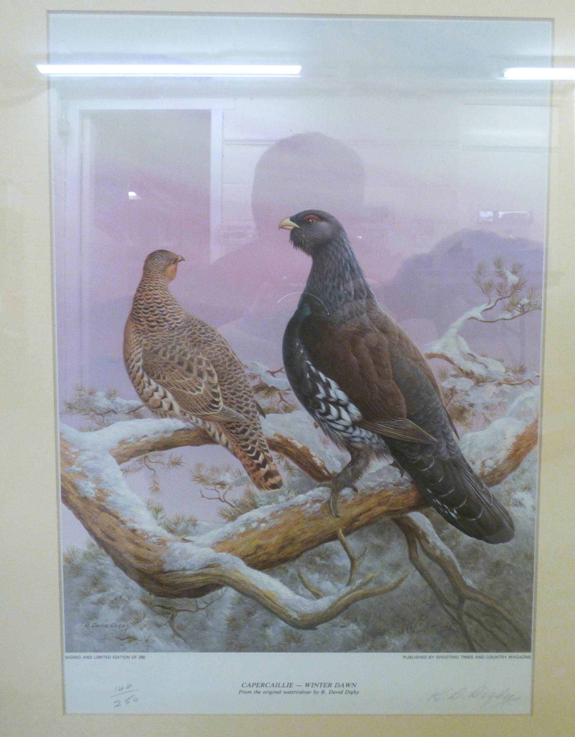 R. David Digby | a series of four ornithological studies | MutualArt