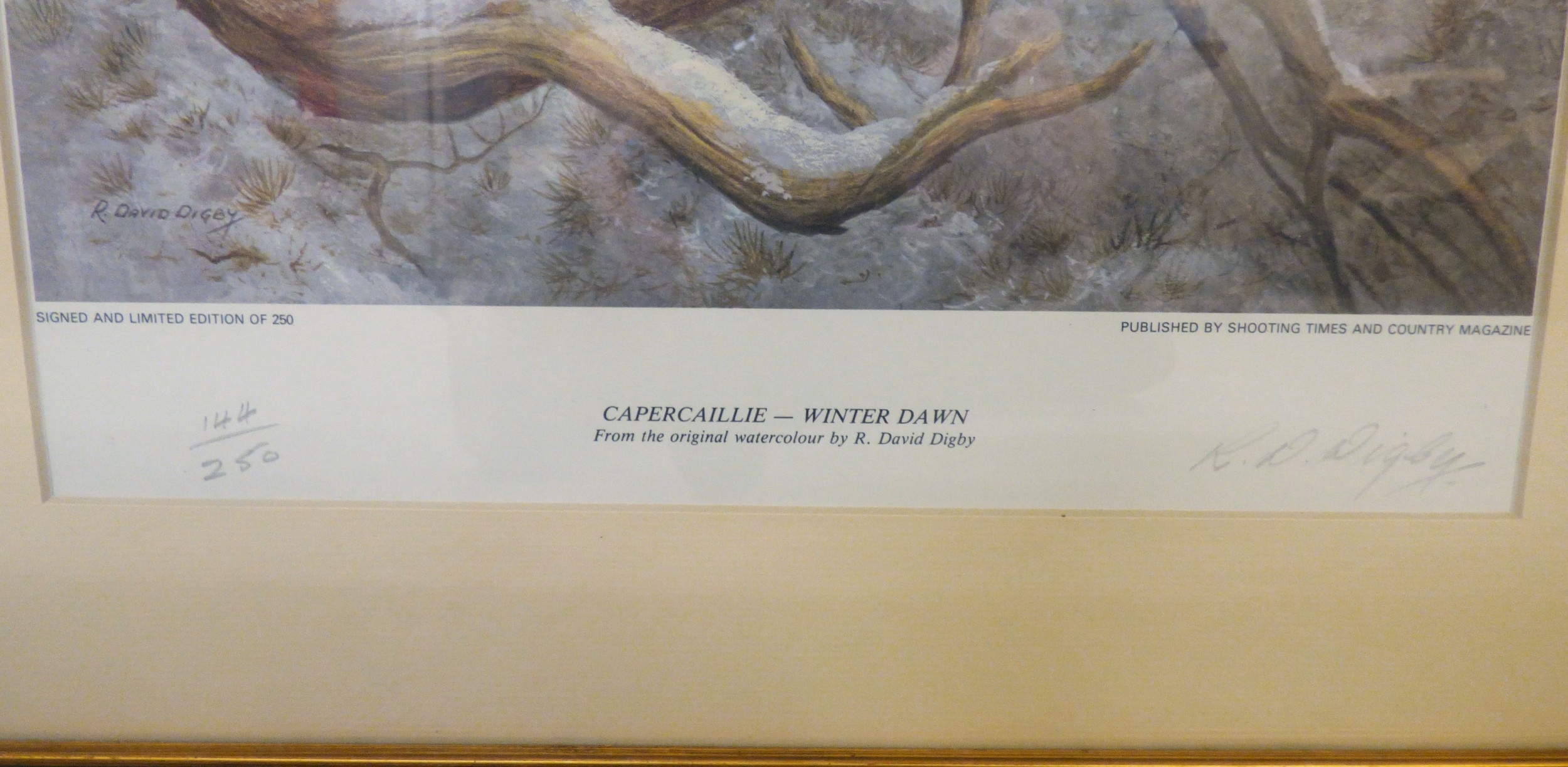 R. David Digby | a series of four ornithological studies | MutualArt