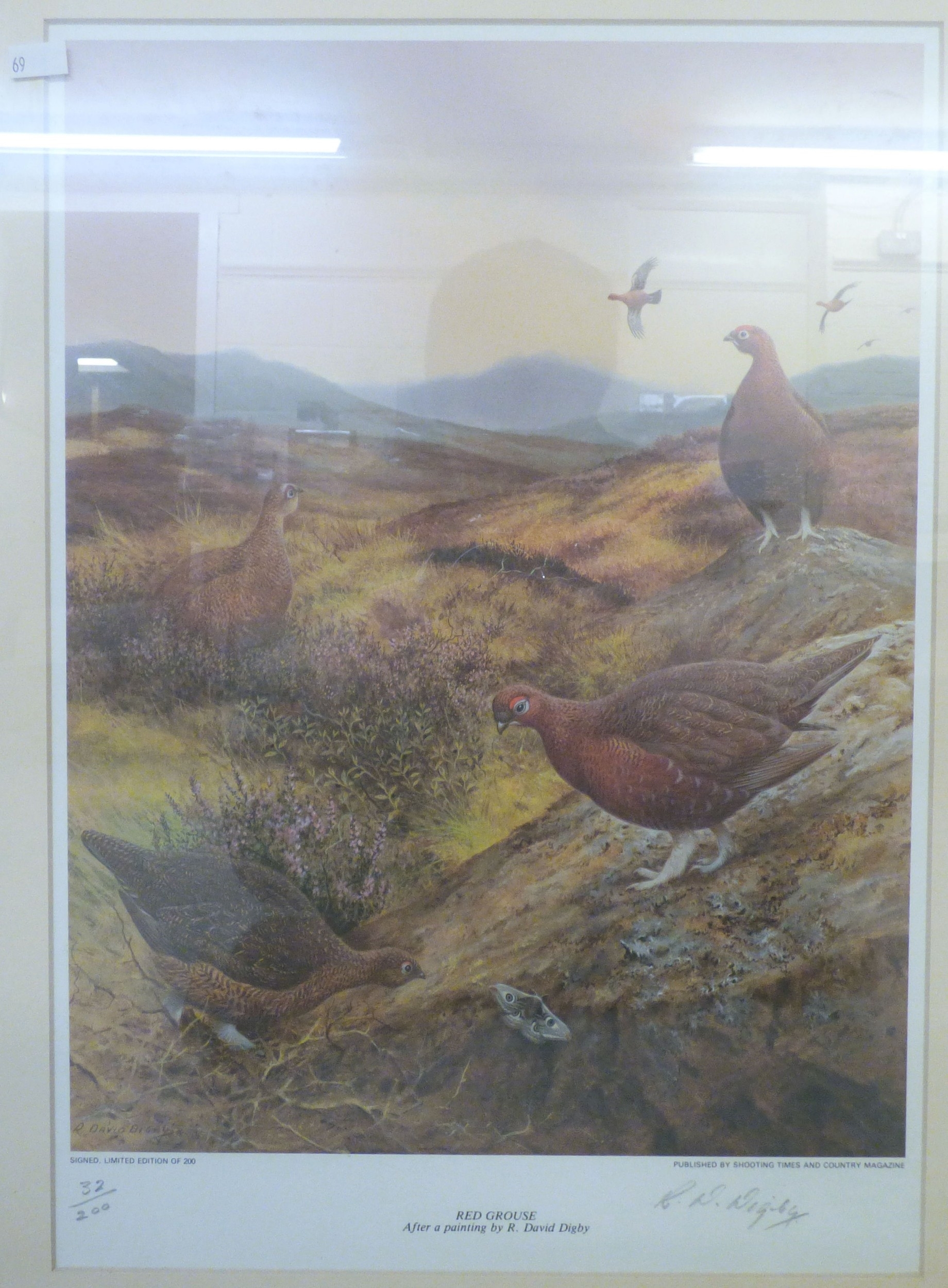 R. David Digby | a series of four ornithological studies | MutualArt