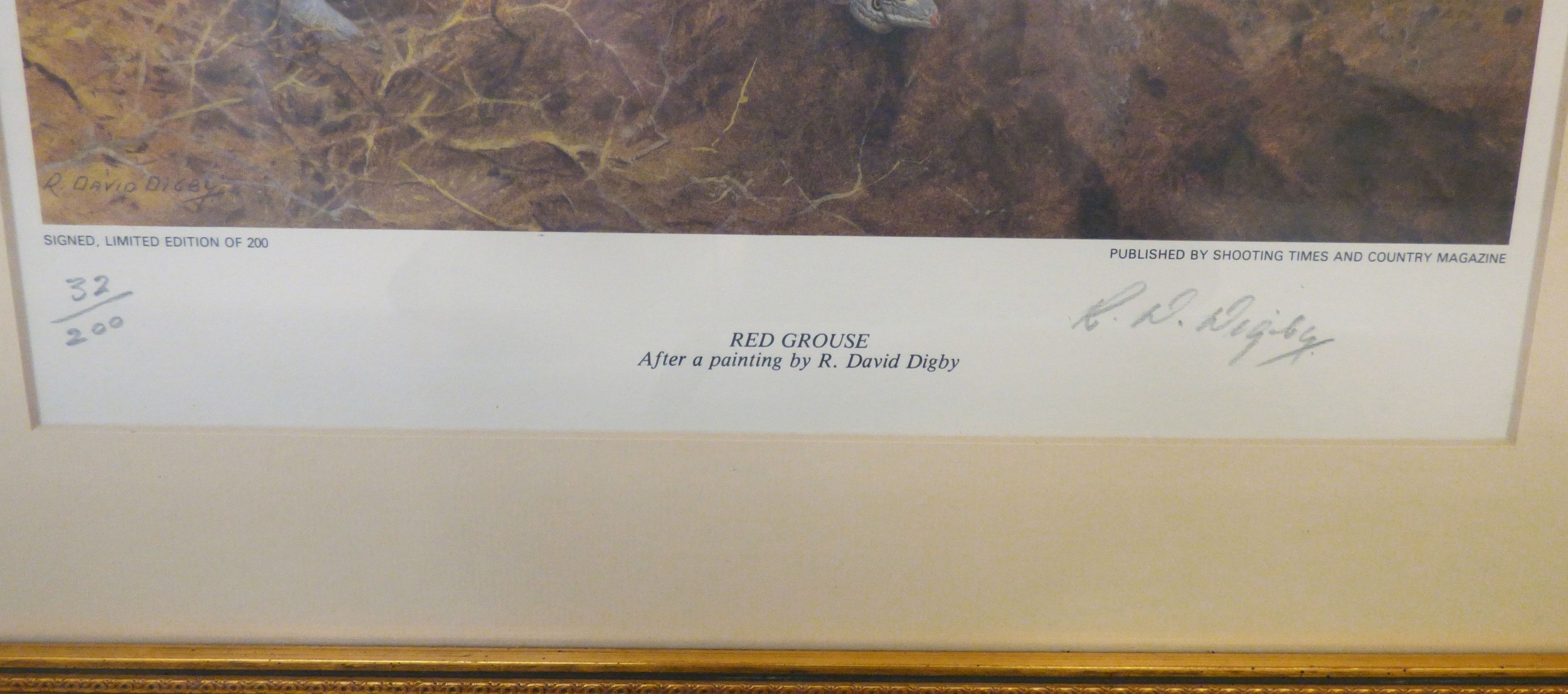 R. David Digby | a series of four ornithological studies | MutualArt