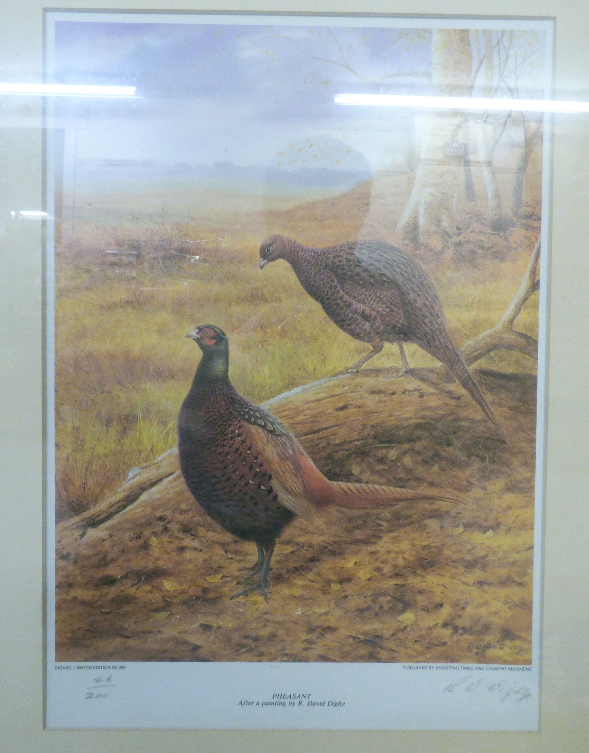 R. David Digby | a series of four ornithological studies | MutualArt