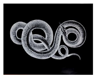 Le Sombre - Marcel Berlanger