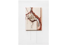 Sonia Gomes' first UK solo exhibition opens at Pace in London this October