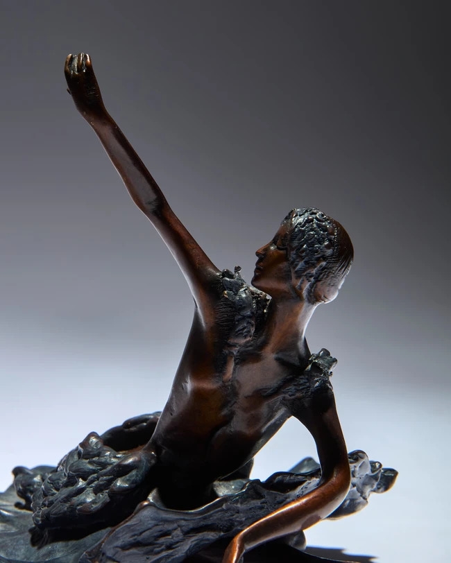 Tom Merrifield | Ballerina performing Swan Lake | MutualArt