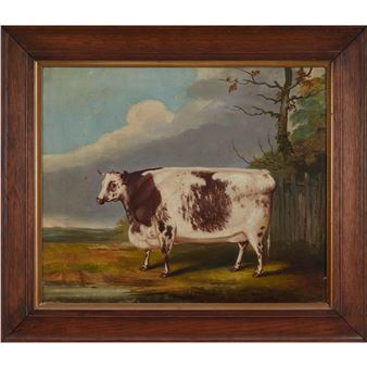 PRIZE COW - William Nicholls