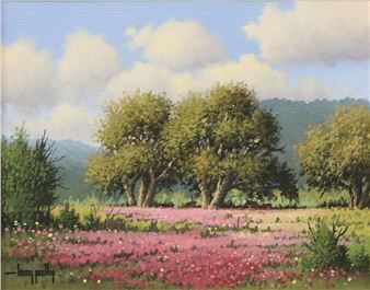 HILL COUNTRY WILDFLOWER LANDSCAPE - Larry Prellop