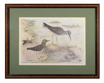 Pectoral Sandpiper and Lesser Yellow-leg - Joan Skeete
