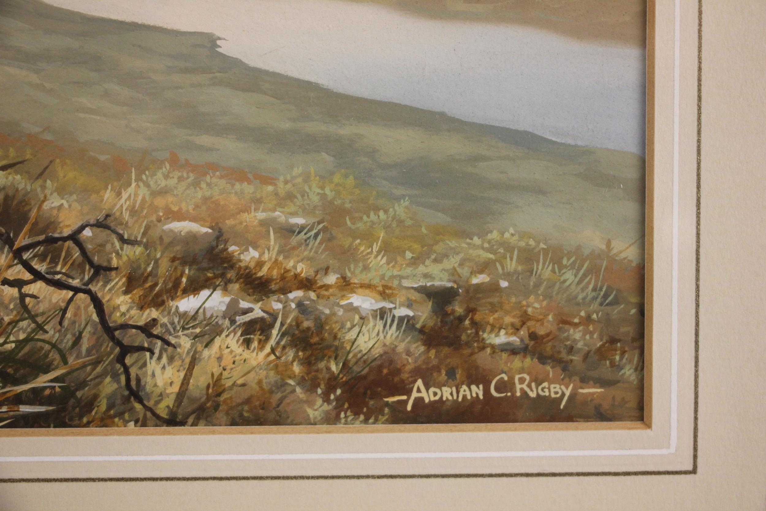 Adrian Rigby | A red grouse in a rocky landscape | MutualArt