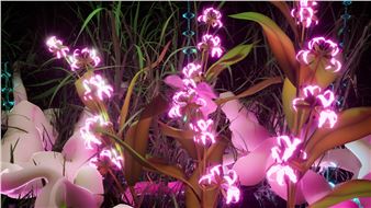 Undergrowth - Confederation Centre of the Arts