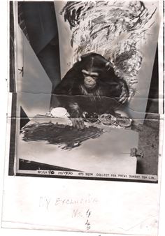 Monkey Business, Too : Rise of the Planet of the AIs - michèle didier 