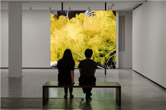 MCA Collection: Artists in Focus - Museum of Contemporary Art Australia (MCA)