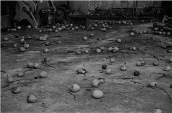 Kalena Marshall Garcia and Yaqeen Yamani: Shared Ground - Da Vinci Art Alliance