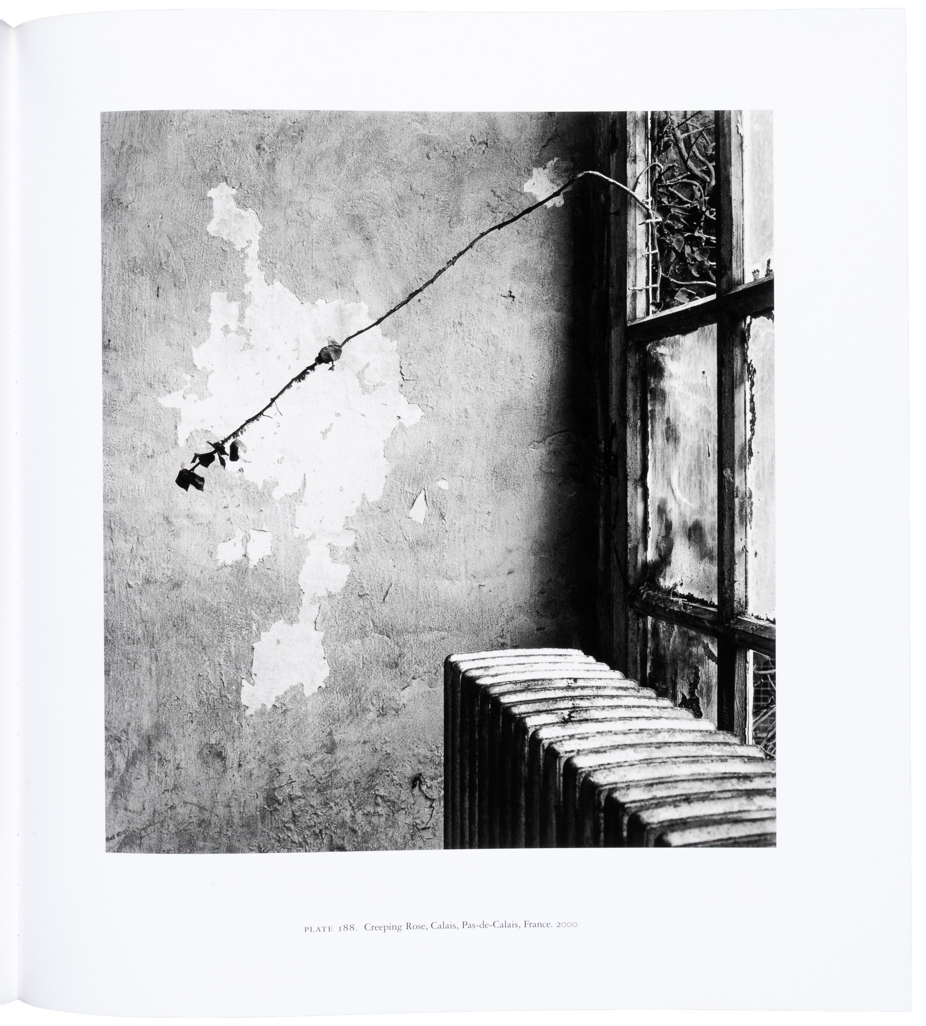 アート・デザイン・音楽 IN FRANCE by MICHAEL KENNA Buy France by Michael Kenna online – Setanta Books