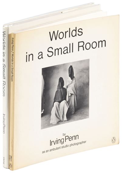 Irving Penn | Worlds in a Small Room (1974) | MutualArt