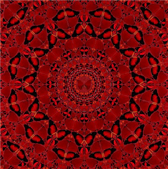 The Empresses Suiko H10-4 by Damien Hirst