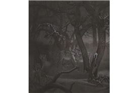 Acquired by M+: Xiao Xu's "The Quiet Deers in the Cold Forest"