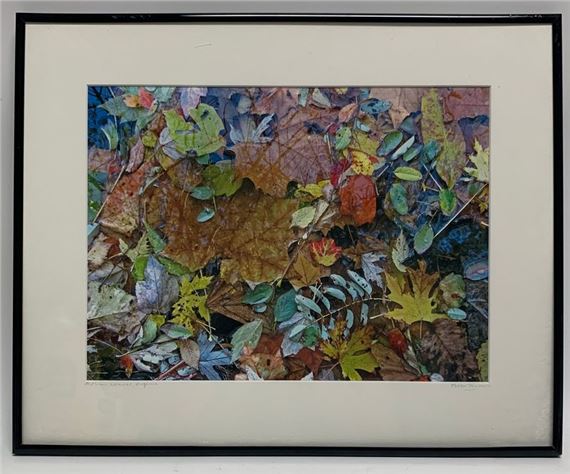 Autumn Leaves Virginia - Peter Tomlinson