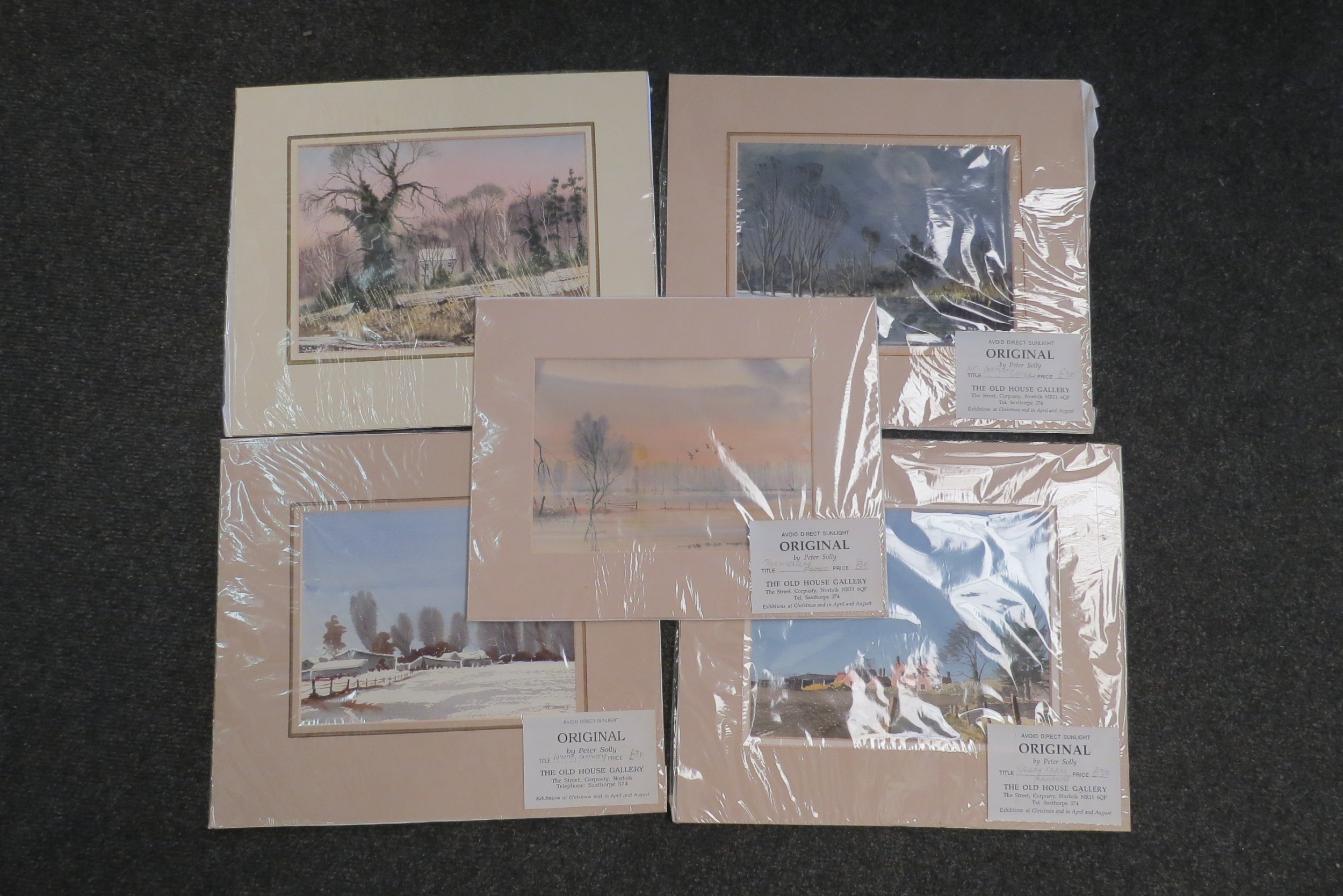 Artwork by Peter Solly, "Valley Farm, Hanworth", "Near Oulton", "Winter, Corpusty", "Near Corpusty Mill" and "Bur Valley Flood", Made of Watercolour