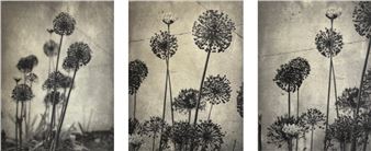 Wendi Schneider: Within the Shadows - Catherine Couturier Gallery