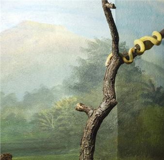 Winter Salon - William Mora Galleries