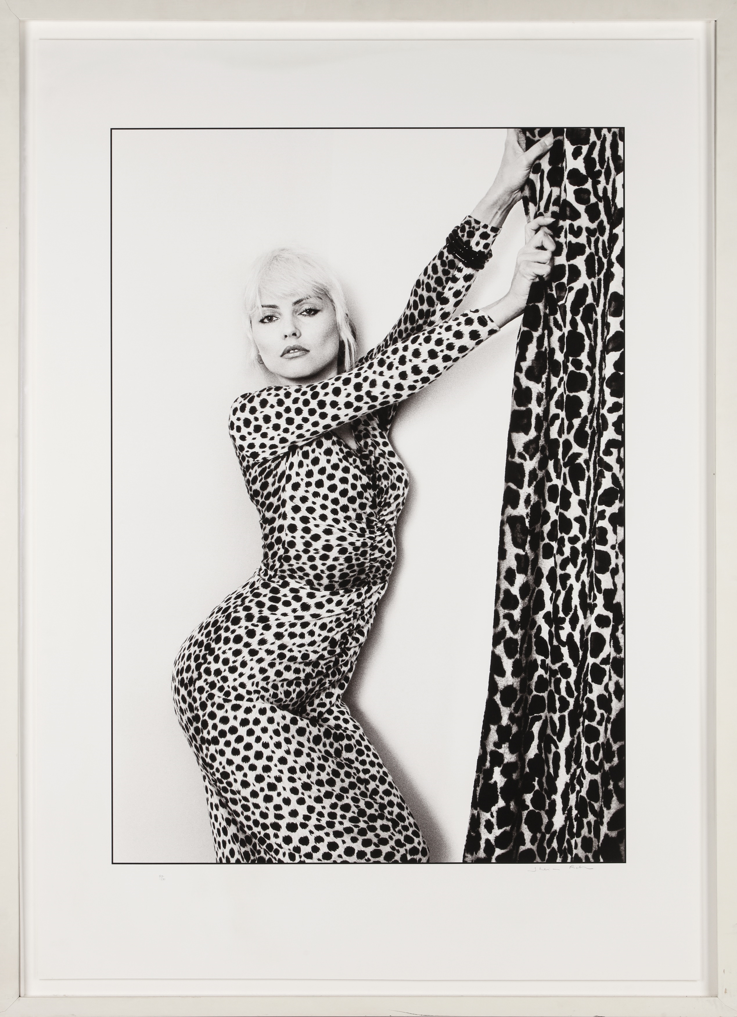 Sheila Rock | DEBBIE HARRY, HOLLAND PARK, LONDON, 1977 (1977) | MutualArt