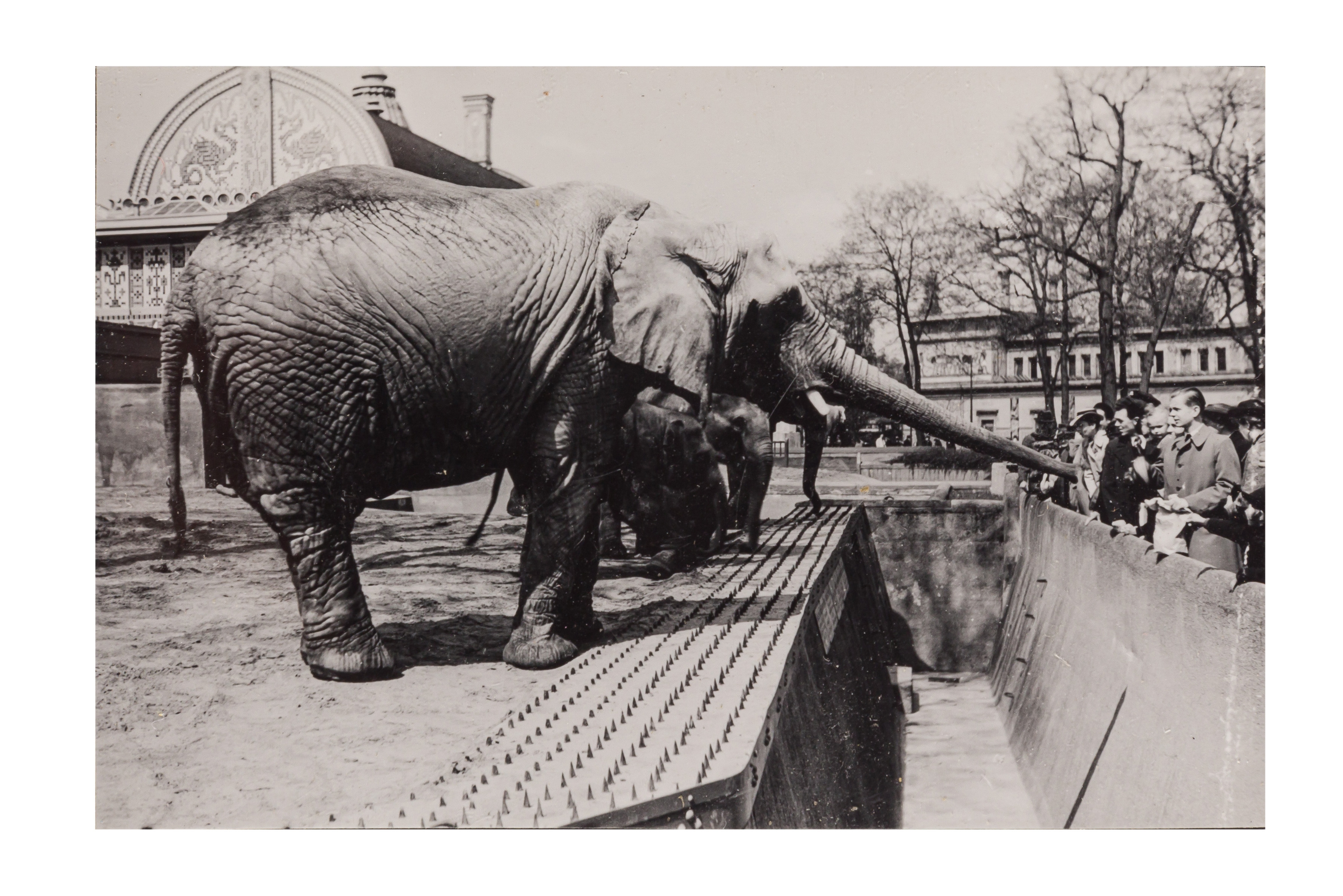 Artwork by Zoltan Glass, Stephen Glass, A binder of over 600 silver gelatin contact prints, Made of Silver Gelatin Contact Prints