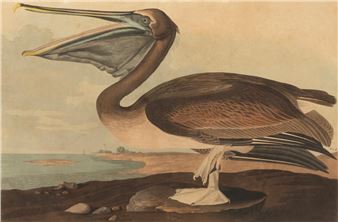 Premier Collections Auction - Neal Auction Company