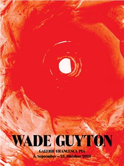 Wade Guyton - Galerie Francesca Pia