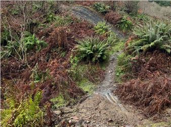 Hilary Lloyd: Very High Frequency - Studio Voltaire